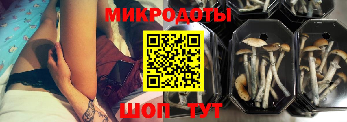 что такое   Вход с VPN  Псилоцибиновые грибы мицелий  Людиново  Псилоцибиновые грибы Magic Shrooms 